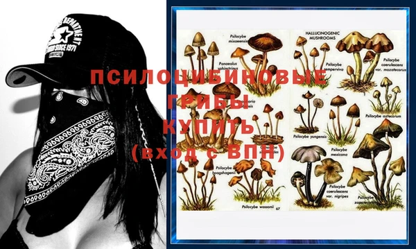 мет Струнино