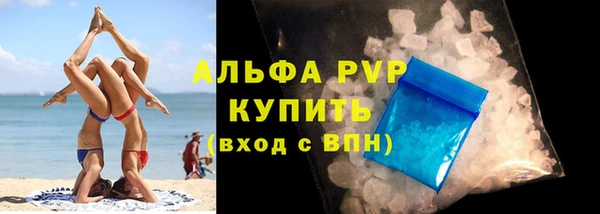 хмурый Белокуриха