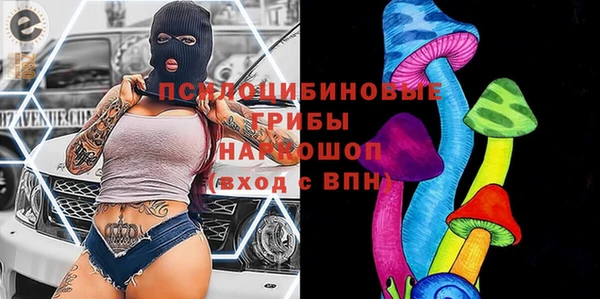 хмурый Белокуриха