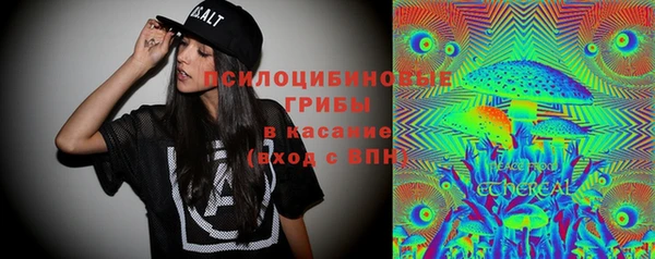 эйфоретик Беломорск