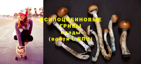хмурый Белокуриха