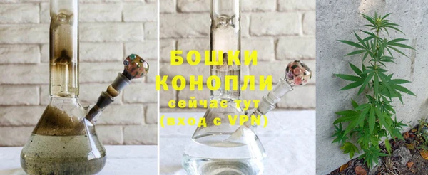 эйфоретик Беломорск