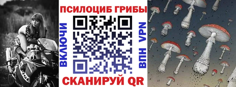 Галлюциногенные грибы мицелий  гидра ONION  Качканар 